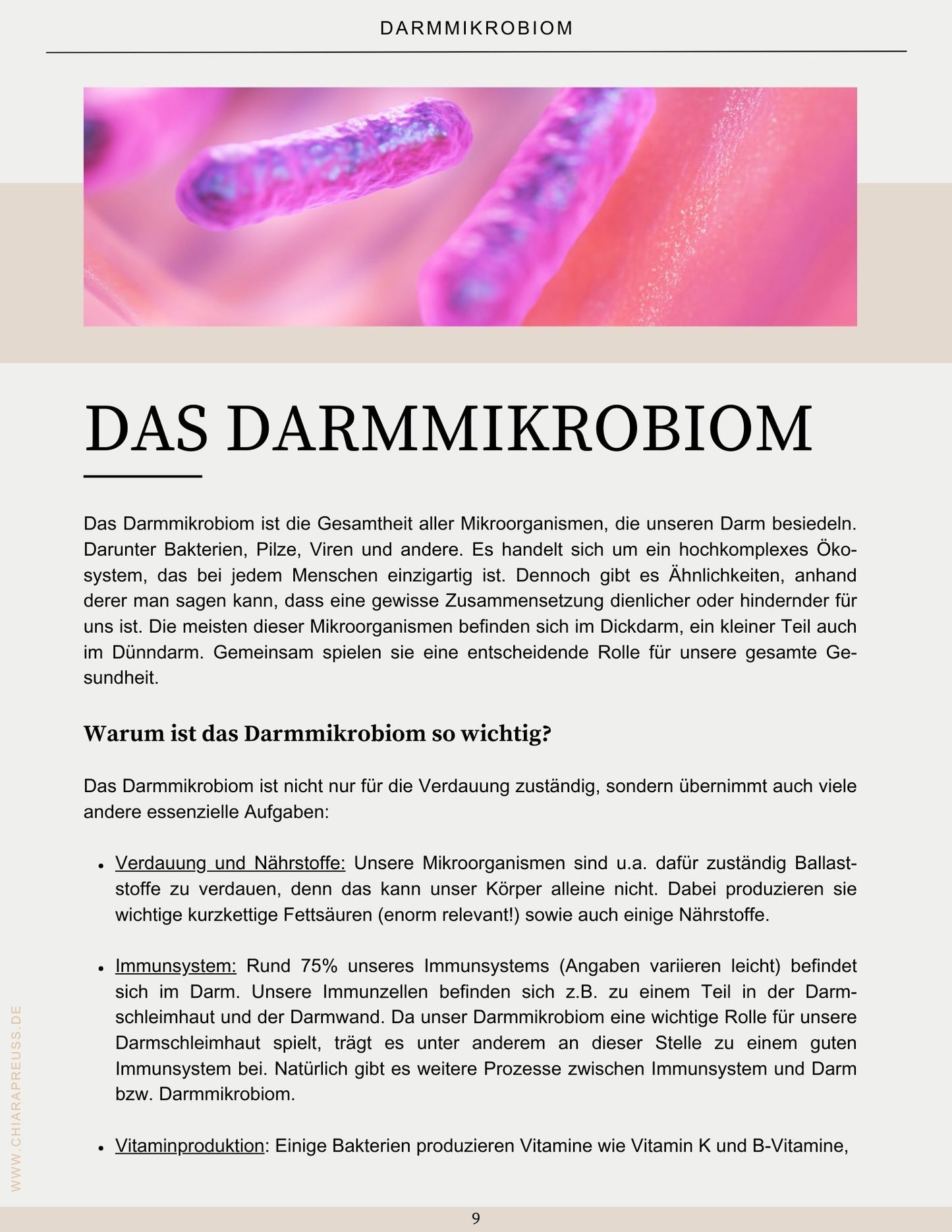 E-Book "Darmgesund essen - Vom Wissen bis zum Teller"