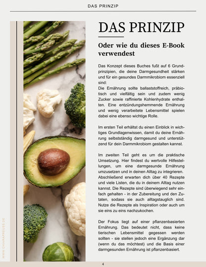 E-Book "Darmgesund essen - Vom Wissen bis zum Teller"