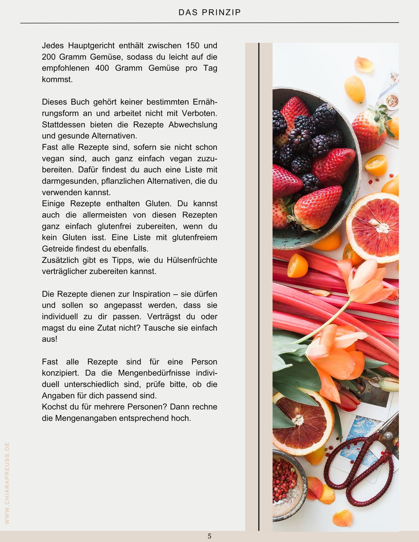 E-Book "Darmgesund essen - Vom Wissen bis zum Teller"